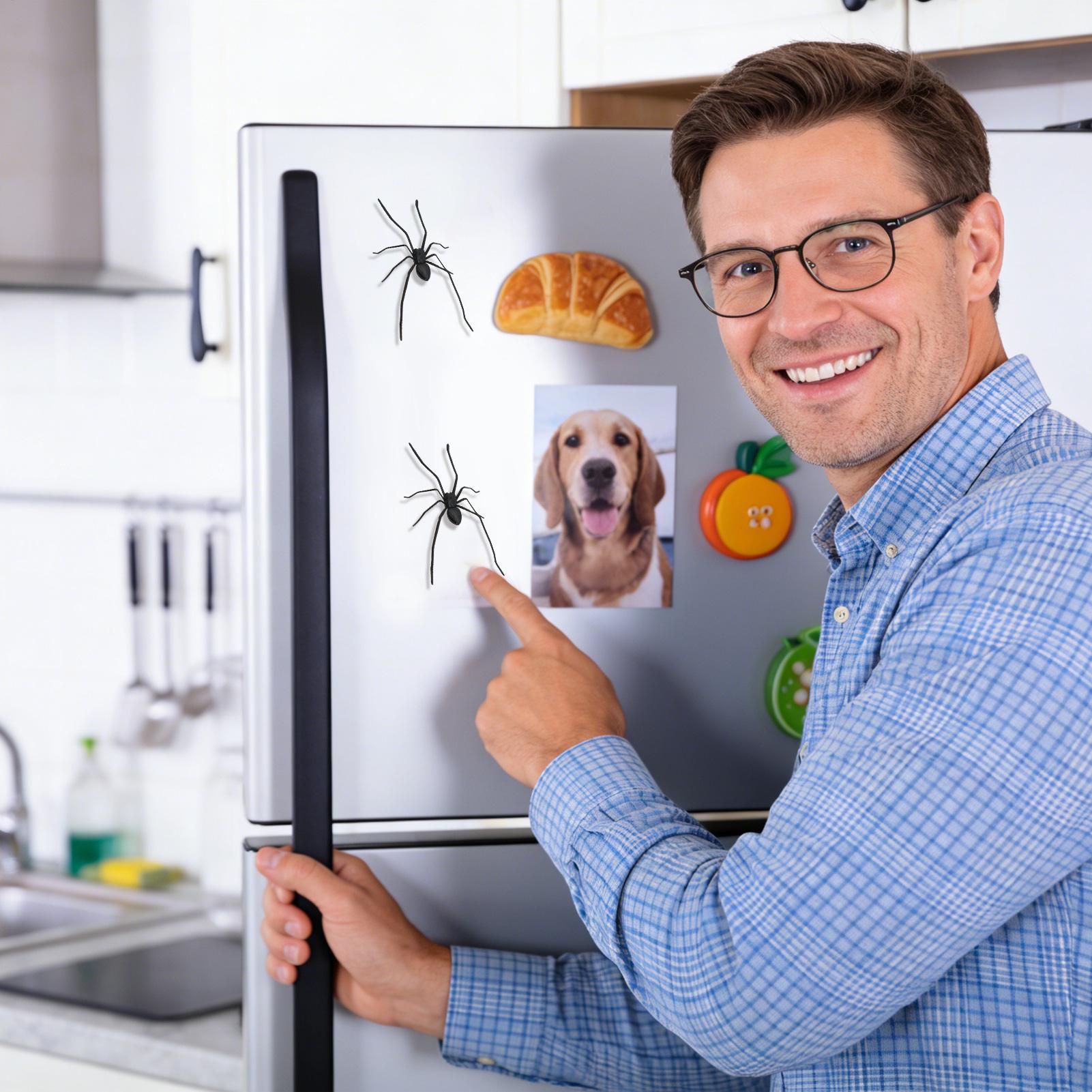 Magnet Kulkas Bentuk Laba-laba - Home Office Tech Gadgets ulasan dan harga